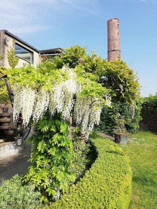 B&B De Vlaschaerd Heule Buitenkant foto