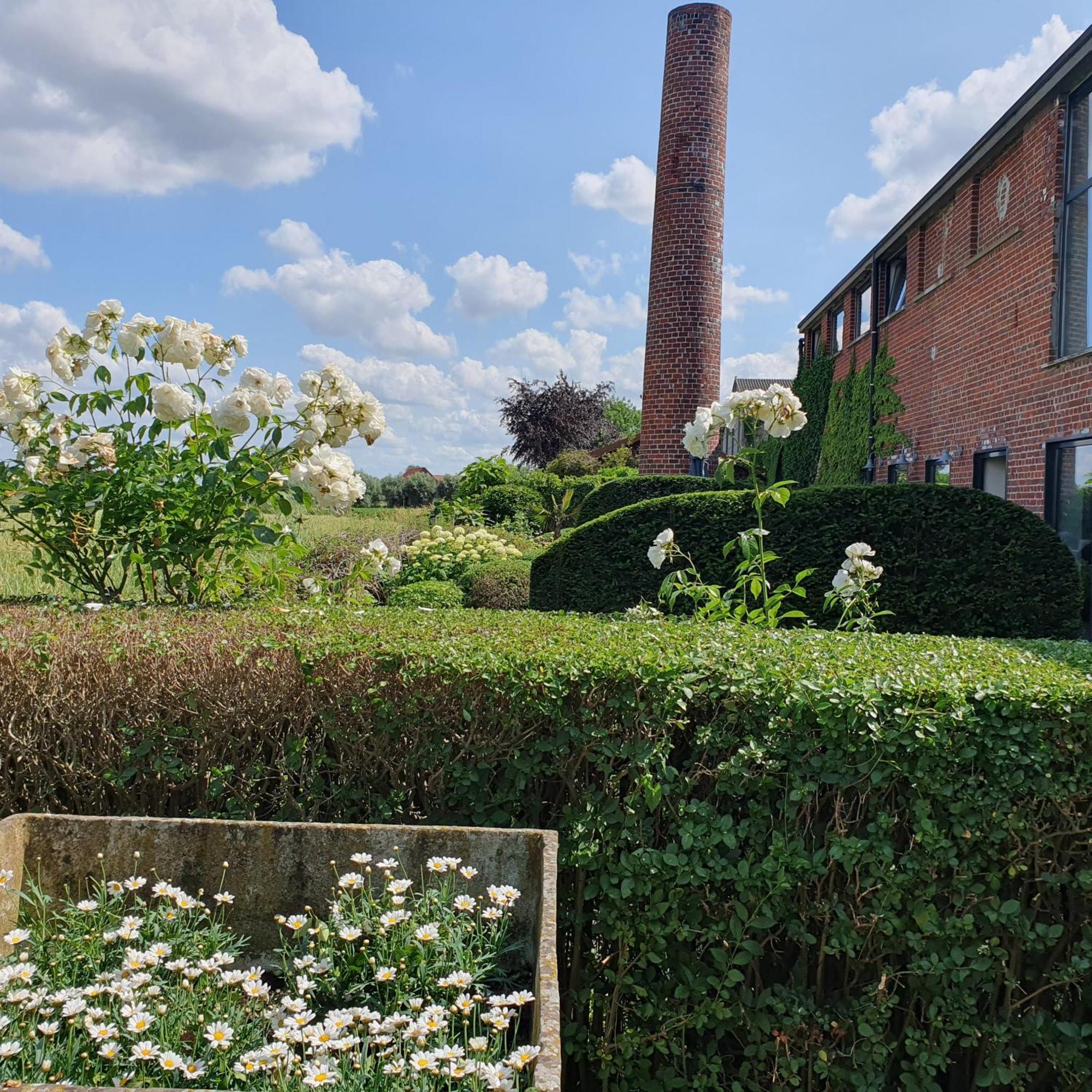 B&B De Vlaschaerd Heule Buitenkant foto